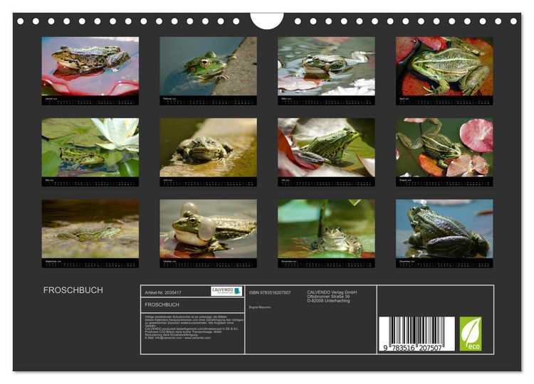 Produktbild: FROSCHBUCH (Wandkalender 2026 DIN A4 quer), CALVENDO Monatskalender