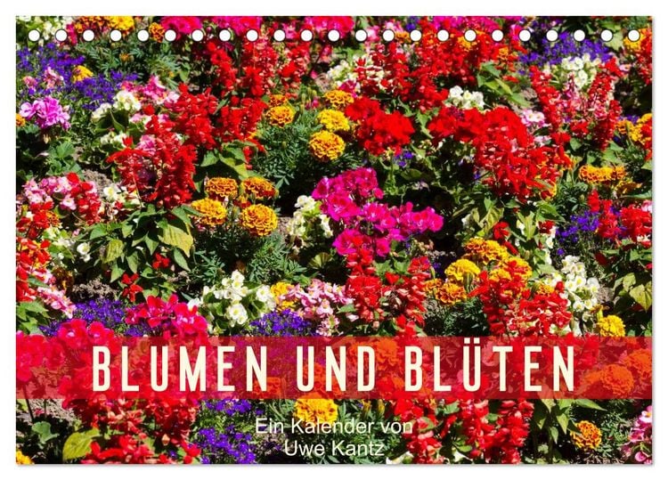 Produktbild: Blumen und Bl&uuml;ten (Tischkalender 2026 DIN A5 quer), CALVENDO Monatskalender
