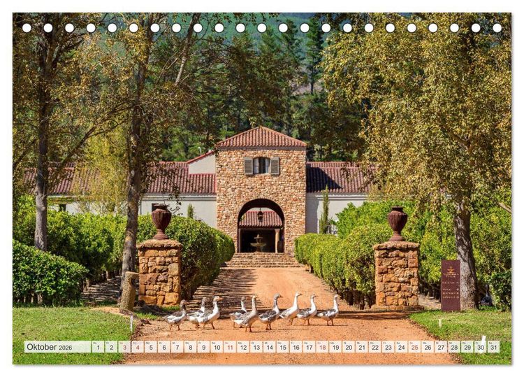 Produktbild: Weing&uuml;ter S&uuml;dafrikas, Weinarchitektur zwischen Tradition und Moderne (Tischkalender 2026 DIN A5 quer), CALVENDO Monatskalender