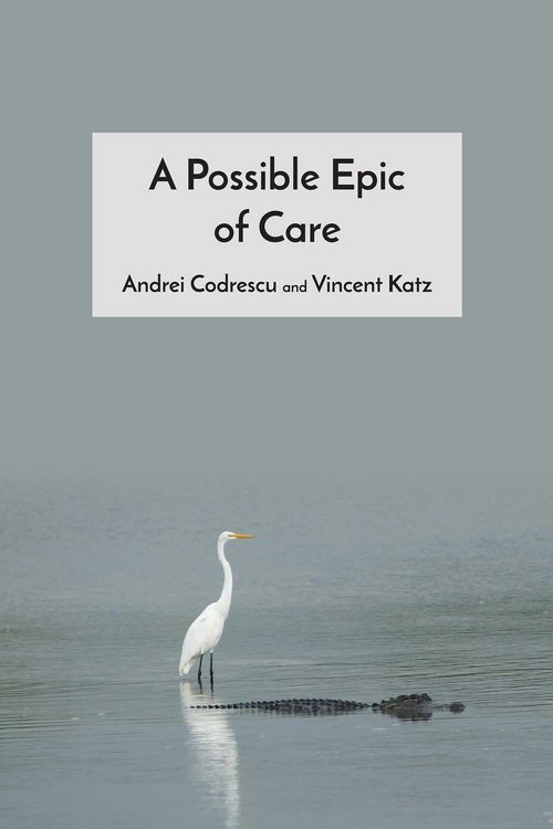 Produktbild: Possible Epic of Care