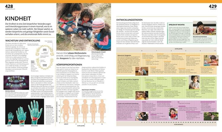 Produktbild: Anatomie und Physiologie