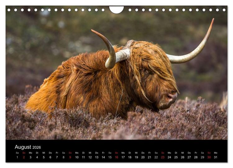 Produktbild: Schottland - Die wundervolle Isle of Skye (Wandkalender 2026 DIN A4 quer), CALVENDO Monatskalender