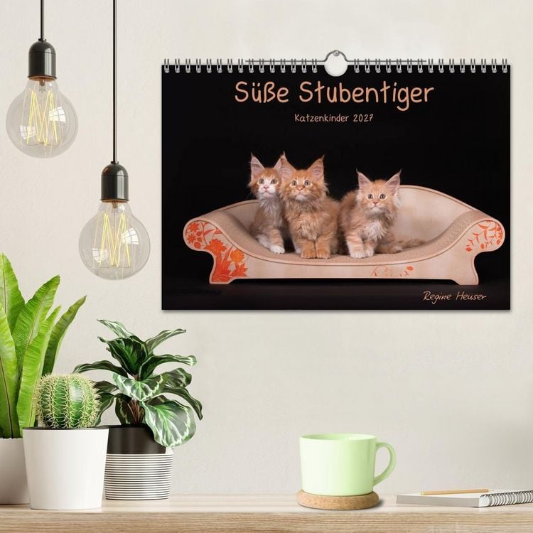 Produktbild: S&uuml;&szlig;e Stubentiger - Katzenkinder (Wandkalender 2027 DIN A4 quer), CALVENDO Monatskalender