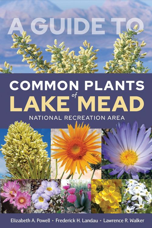 Produktbild: Guide to Common Plants of Lake Mead National Recreation Area