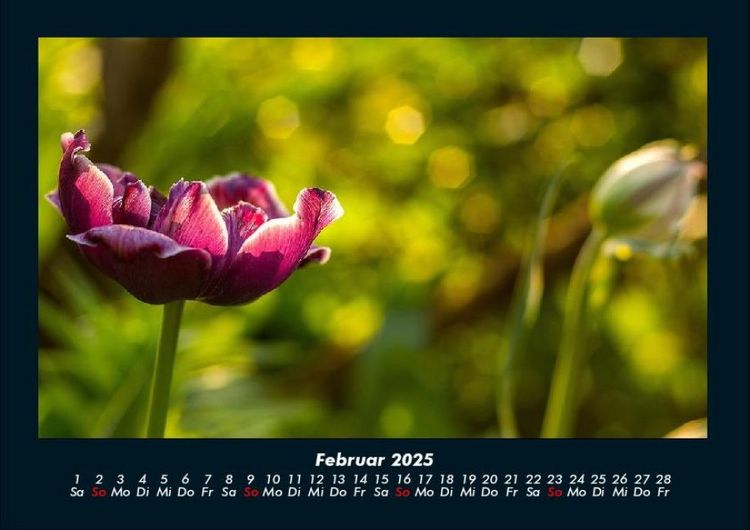 Produktbild: Naturlandschaften 2025 Fotokalender DIN A4