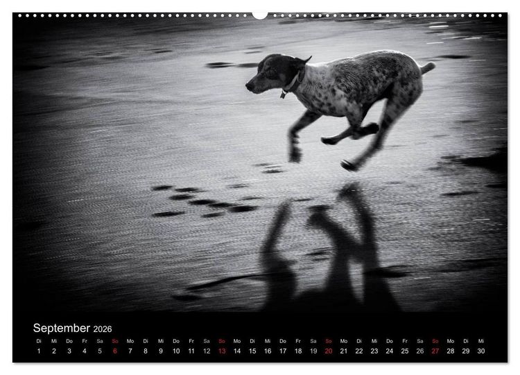 Produktbild: Das Licht in Schwarz und Wei&szlig; (hochwertiger Premium Wandkalender 2026 DIN A2 quer), Kunstdruck in Hochglanz