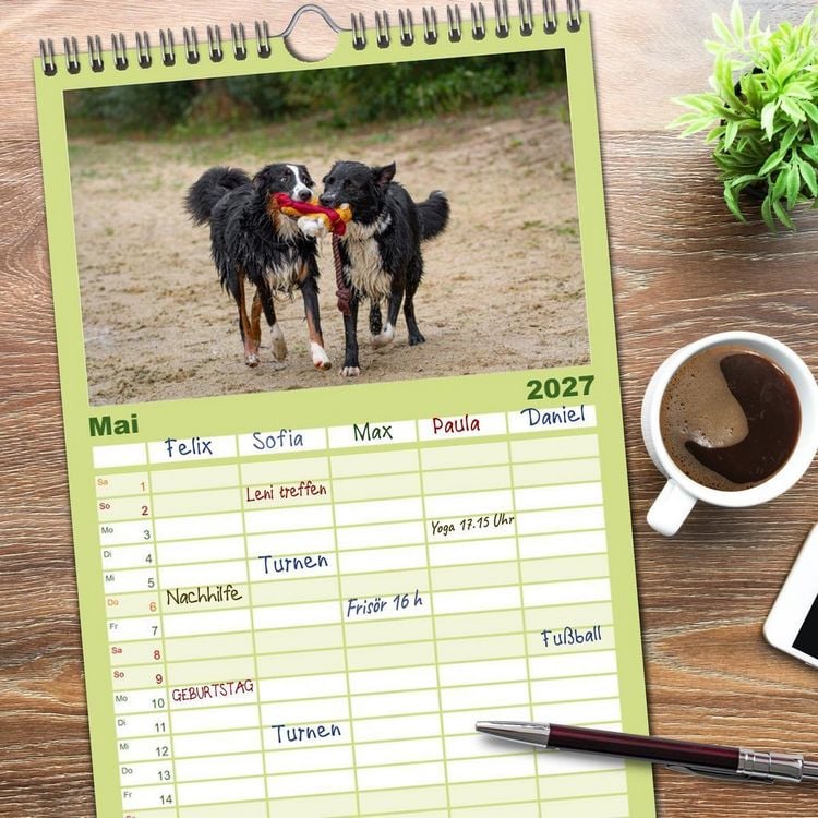 Produktbild: Familienplaner 2027 - Hunde Action mit 5 Spalten (Wandkalender, 21 x 45 cm) CALVENDO