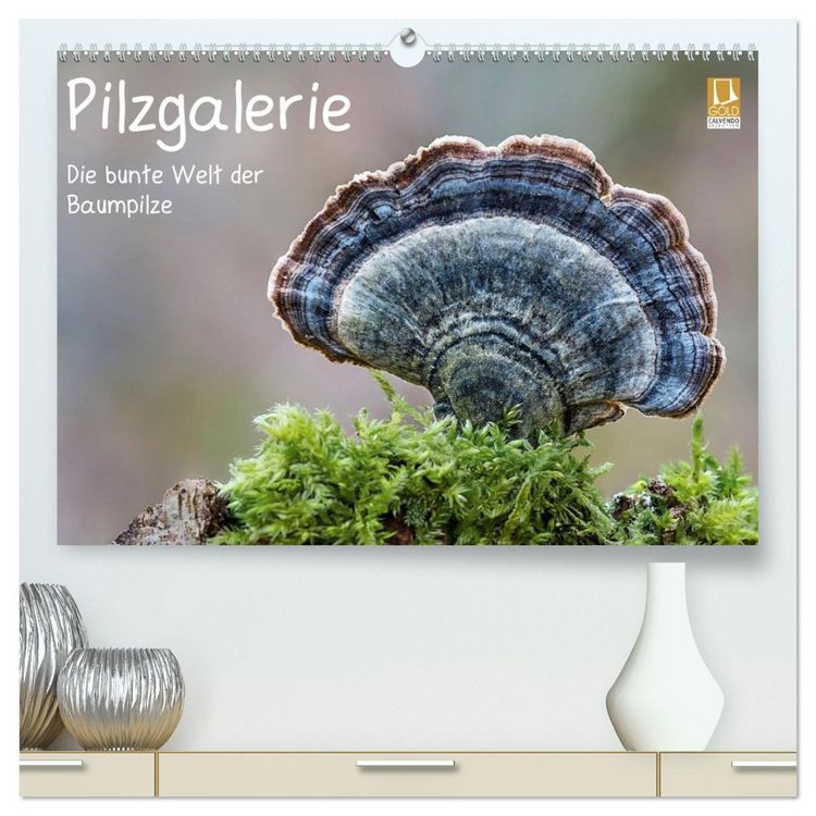 Produktbild: Pilzgalerie - Die bunte Welt der Baumpilze (hochwertiger Premium Wandkalender 2026 DIN A2 quer), Kunstdruck in Hochglanz