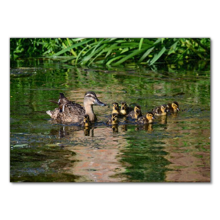 Produktbild: Lais Puzzle Ente mit K&uuml;ken 1000 Teile