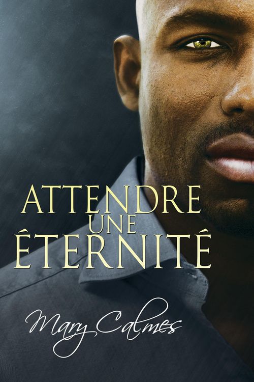 Produktbild: Attendre une &eacute;ternit&eacute;
