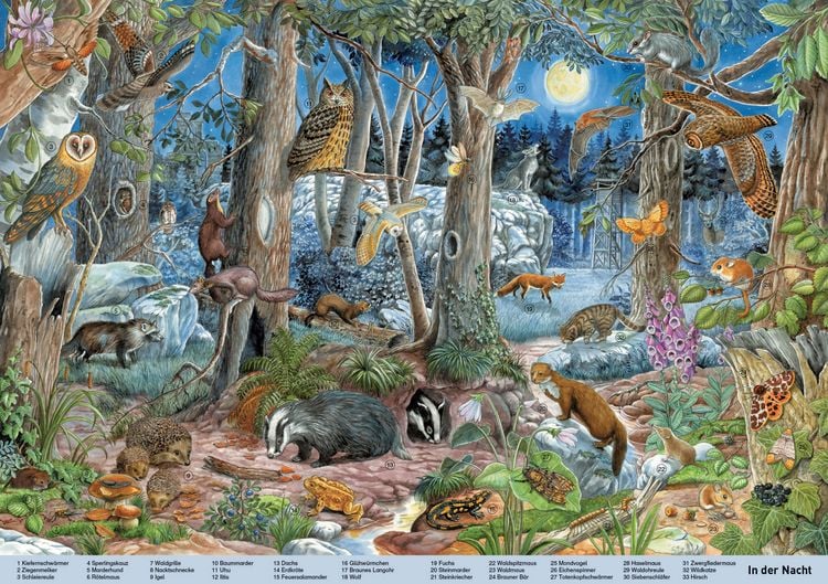 Produktbild: Mein gro&szlig;es Wimmelbuch Tiere