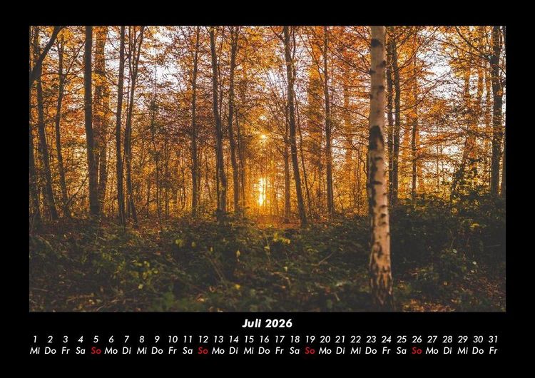 Produktbild: Waldzauber 2026 Fotokalender DIN A3