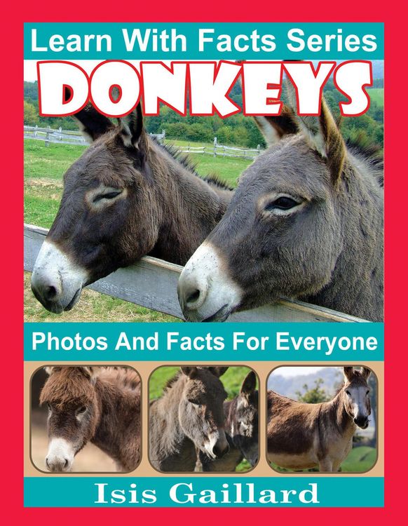 Produktbild: Donkeys Photos and Facts for Everyone (Learn With Facts Series, #82)