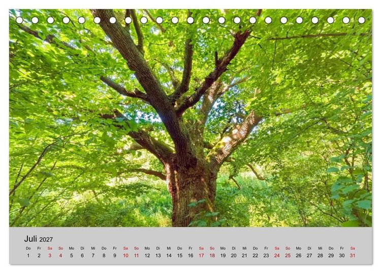 Produktbild: Biosph&auml;renreservat Schaalsee (Tischkalender 2027 DIN A5 quer), CALVENDO Monatskalender