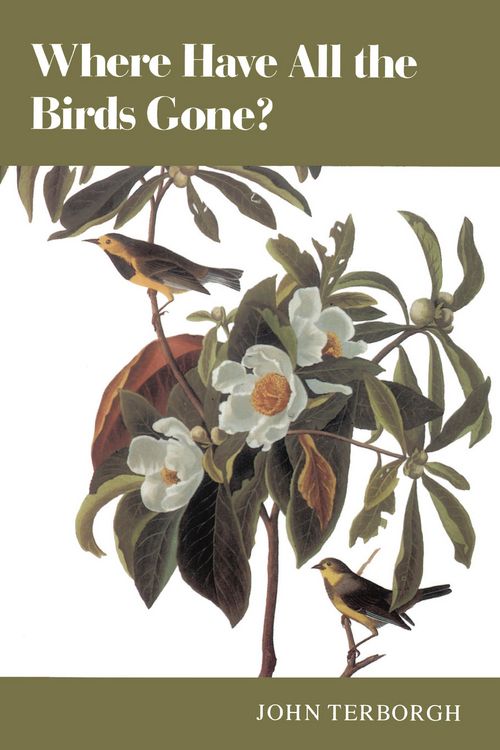 Produktbild: Where Have All the Birds Gone?