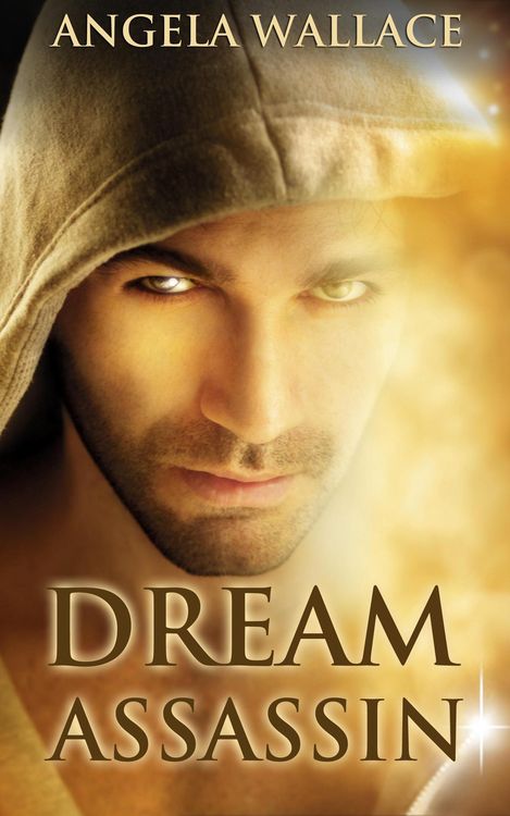 Produktbild: Dream Assassin (Dreamwalker, #2.5)