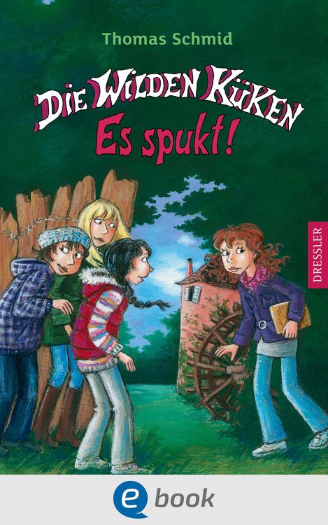 Bild vom Artikel Die Wilden Küken 4. Es spukt! vom Autor Thomas Schmid