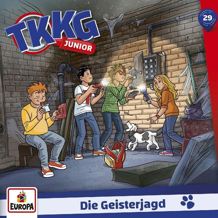 Bild vom Artikel TKKG Junior - 29: Die Geisterjagd vom Autor 