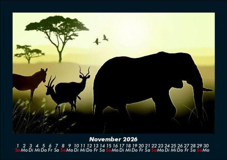 Produktbild: Elefanten - Die sanften Riesen Afrikas 2026 Fotokalender DIN A5