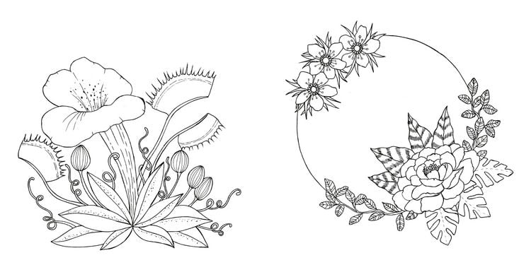 Produktbild: Tropical Flowers &ndash; Exotische Blumen- und Pflanzen-Motive ausmalen