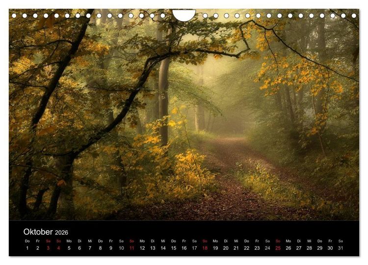 Produktbild: Mysterium Wald (Wandkalender 2026 DIN A4 quer), CALVENDO Monatskalender