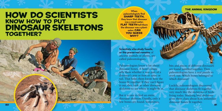 Produktbild: National Geographic Little Kids First Big Book of How