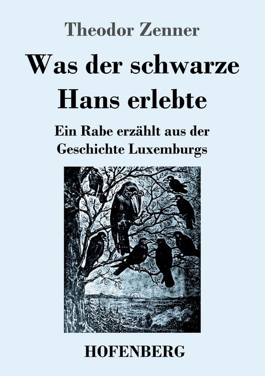 Produktbild: Was der schwarze Hans erlebte