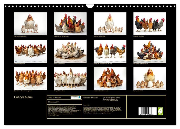 Produktbild: H&uuml;hner Alarm (Wandkalender 2026 DIN A3 quer), CALVENDO Monatskalender
