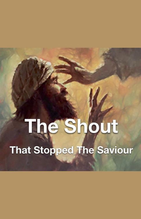 Produktbild: The Shout That Stopped The Saviour