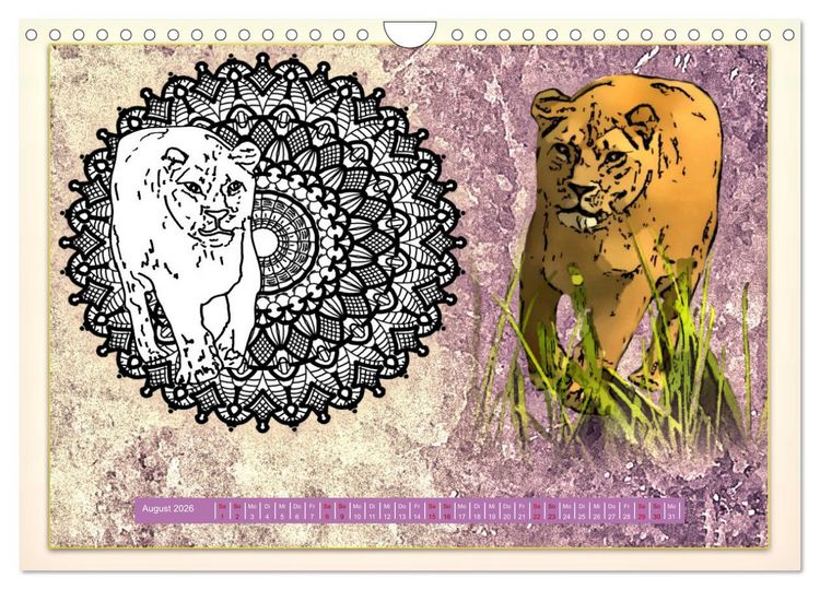 Produktbild: Mandalas 2026 - Beruhigende Momente (Wandkalender 2026 DIN A4 quer), CALVENDO Monatskalender