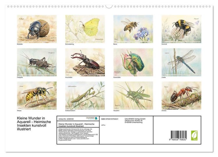 Produktbild: Kleine Wunder in Aquarell - Heimische Insekten kunstvoll illustriert (hochwertiger Premium Wandkalender 2027 DIN A2 quer), Kunstdruck in Hochglanz