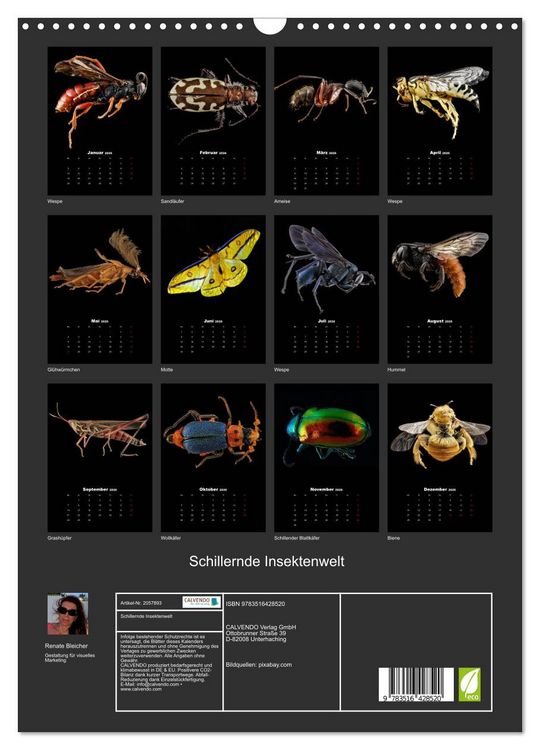 Produktbild: Schillernde Insektenwelt (Wandkalender 2026 DIN A3 hoch), CALVENDO Monatskalender