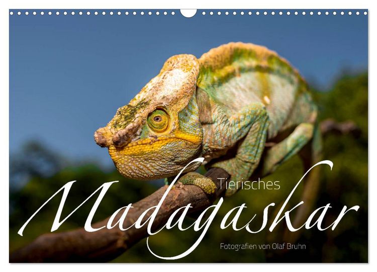 Produktbild: Tierisches Madagaskar (Wandkalender 2026 DIN A3 quer), CALVENDO Monatskalender