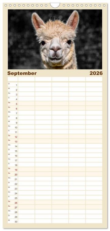Produktbild: Familienplaner 2026 - Alpaka Gesichter mit 5 Spalten (Wandkalender, 21 x 45 cm) CALVENDO