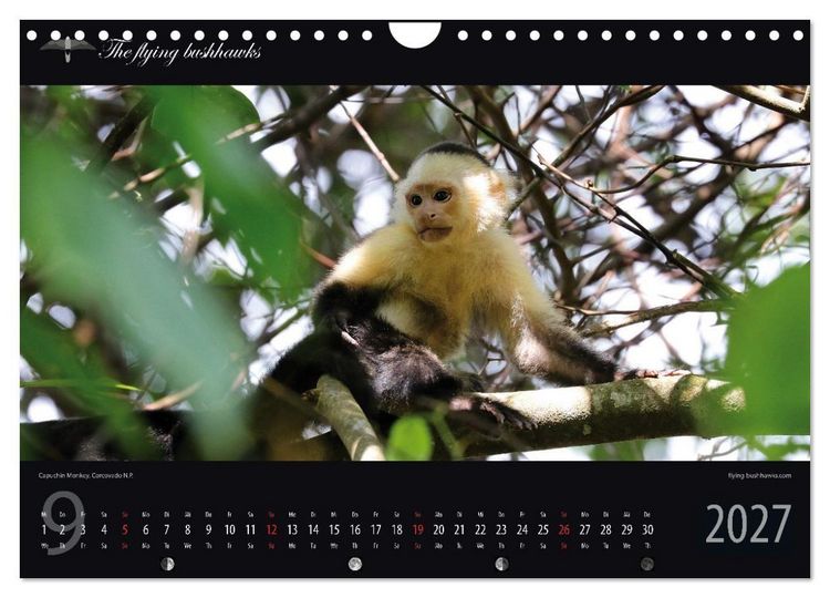 Produktbild: Costa Rica Blickwinkel 2027 (Wandkalender 2027 DIN A4 quer), CALVENDO Monatskalender