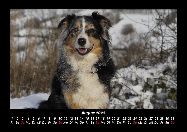 Produktbild: Winterzauber 2025 Fotokalender DIN A3
