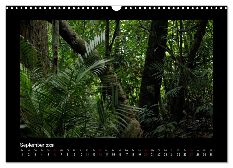 Produktbild: SUMATRA Abenteuer Regenwald (Wandkalender 2026 DIN A3 quer), CALVENDO Monatskalender