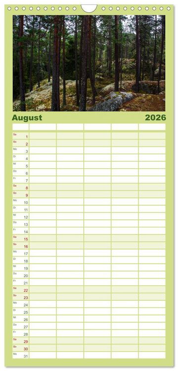 Produktbild: Familienplaner 2026 - Wald mit 5 Spalten (Wandkalender, 21 x 45 cm) CALVENDO