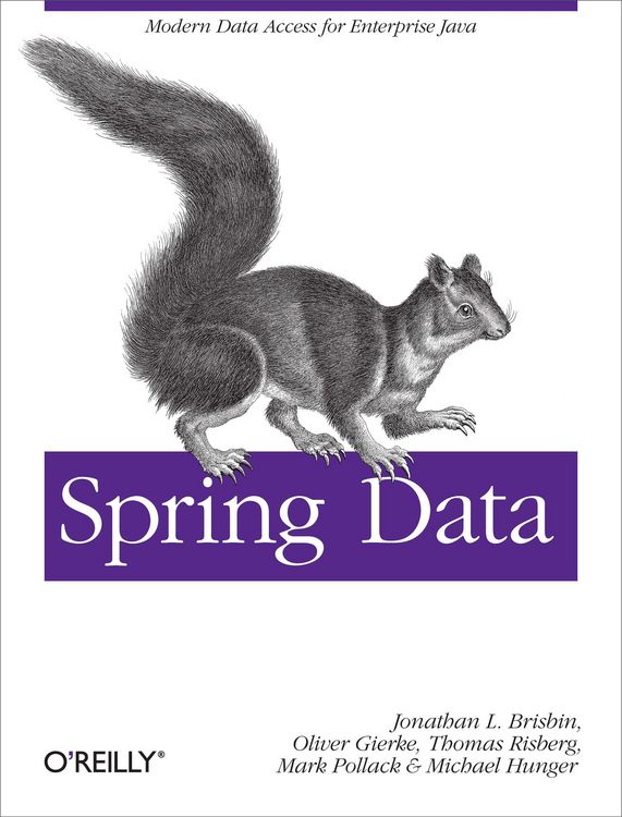 Produktbild: Spring Data