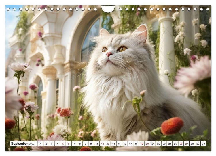 Produktbild: Das Jahr der Samtpfoten (Wandkalender 2026 DIN A4 quer), CALVENDO Monatskalender