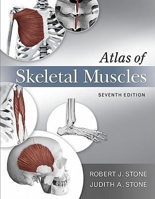 Produktbild: Atlas of Skeletal Muscles