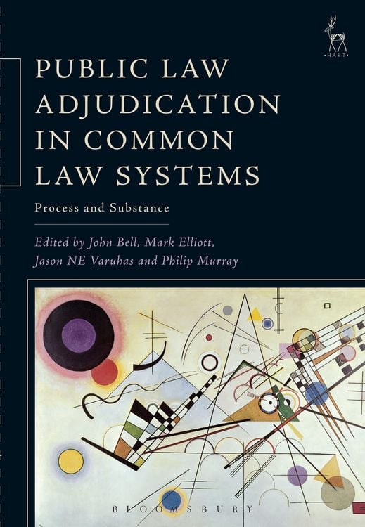 Produktbild: Public Law Adjudication in Common Law Systems
