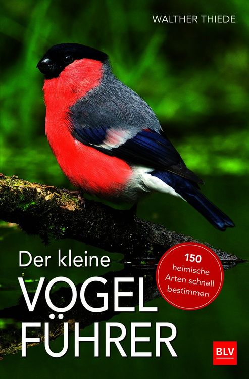 Produktbild: Der kleine Vogelf&uuml;hrer