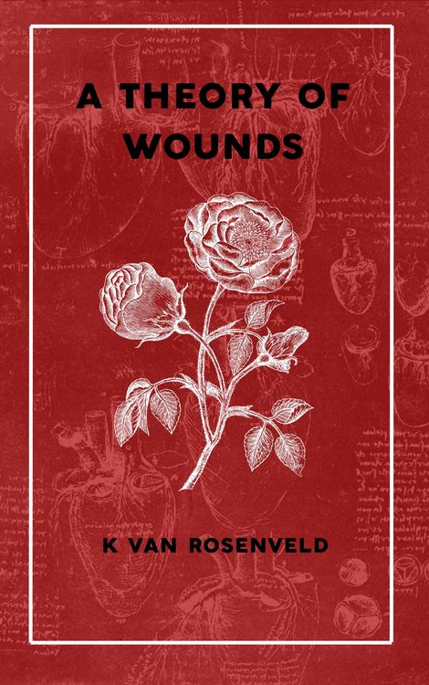 Produktbild: A Theory of Wounds