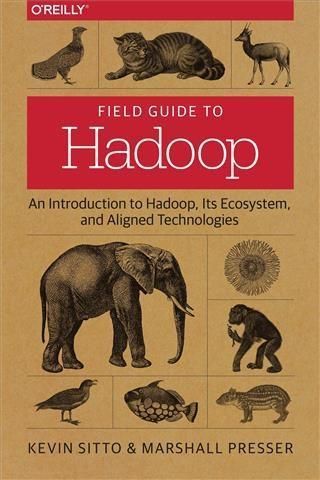 Produktbild: Field Guide to Hadoop