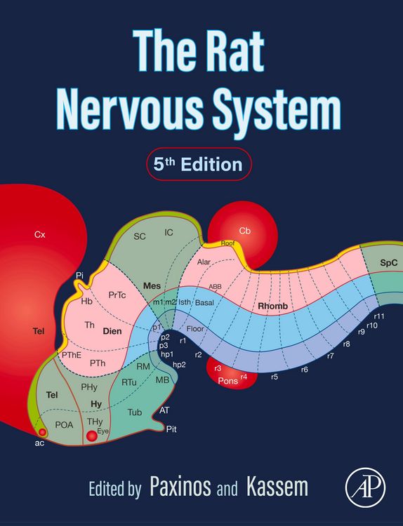 Produktbild: The Rat Nervous System