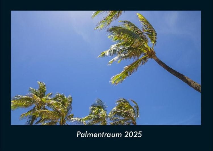 Produktbild: Palmentraum 2025 Fotokalender DIN A4