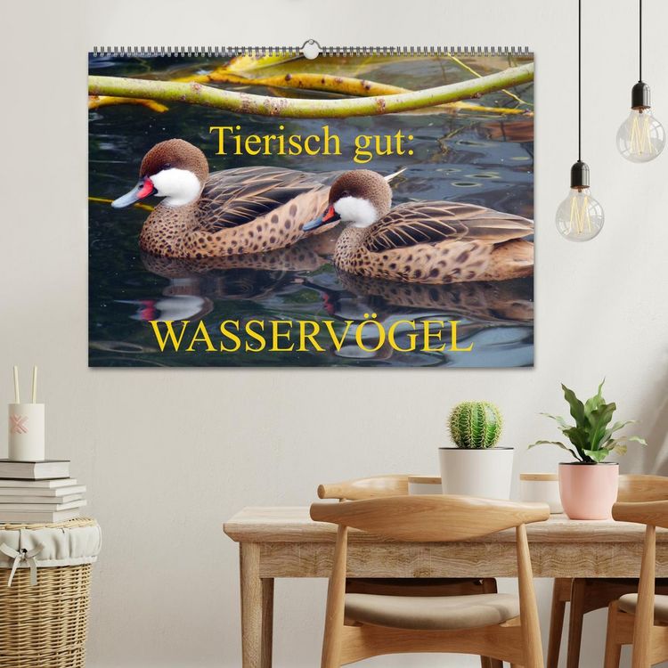 Produktbild: Tierisch gut: Wasserv&ouml;gel (Wandkalender 2026 DIN A2 quer), CALVENDO Monatskalender