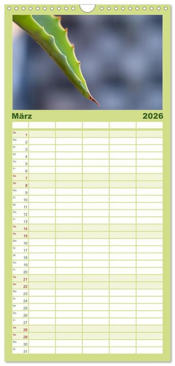 Produktbild: Familienplaner 2026 - Traum Blumen mit 5 Spalten (Wandkalender, 21 x 45 cm) CALVENDO