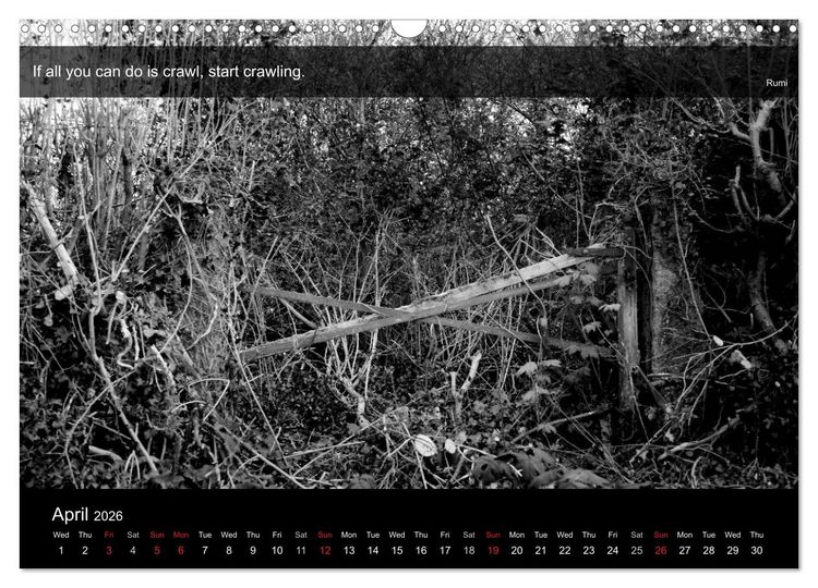 Produktbild: Through the Gate with Rumi (Wall Calendar 2026 DIN A3 landscape), CALVENDO 12 Month Wall Calendar